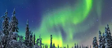 Grüne Nordlichter im Winter