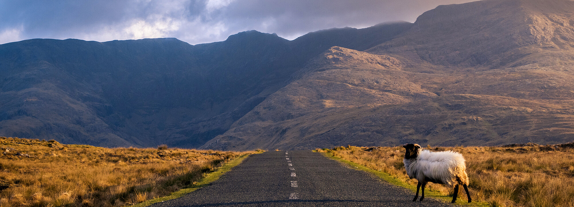 Entdecken Sie die traumhafte Landschaft Connemaras in Ihrem Irland Urlaub
