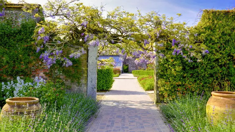 Eingang zu einem historischen englischen Garten mit blühendem Blauregen, Natursteinmauern und gepflegten Wegen.