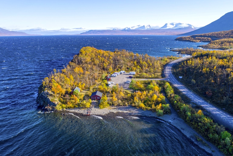 Luftaufnahme einer herbstlichen Landzunge am Torneträsk-See in Schwedisch-Lappland. Gelb-orange gefärbte Birkenwälder treffen auf das dunkle, windige Wasser des Sees. Eine Straße schlängelt sich entlang der Küste, im Hintergrund erheben sich schneebedeckte Berge unter klarem Himmel.