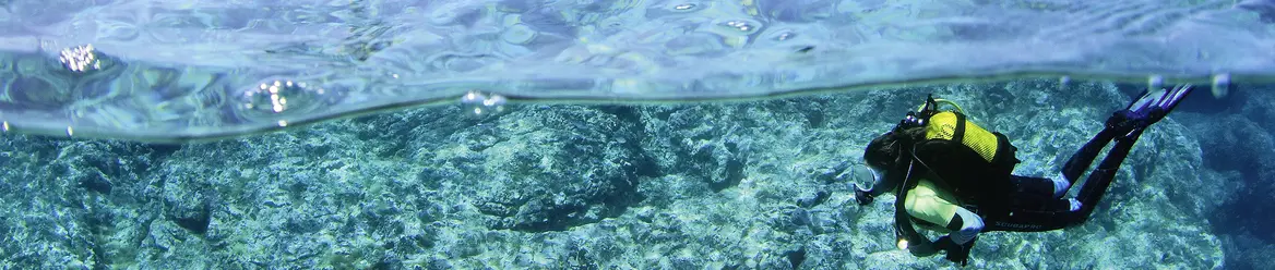 Ein Taucher mit schwarzem Tauchanzug und gelber Sauerstoffflasche taucht von rechts nach links im Meer. Das Wasser ist türkis und man sieht die Spiegelungen der Sonne. Der Taucher taucht im klaren Atlantikwasser nahe der Azoren über felsigem Meeresgrund und erkundet die Unterwasserwelt.