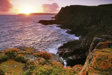 Steile Klippen an der Küste von Nordirland im warmen Licht des Sonnenuntergangs. Wellen schlagen gegen die Felsen des Atlantiks, während bunte Wildblumen im Vordergrund die zerklüftete Landschaft unter einem orangefarbenen Abendhimmel rahmen.