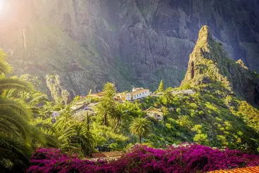 Blick auf das grüne Masca-Tal auf Teneriffa mit steilen Felsformationen und üppiger Vegetation. Zwischen Palmen und blühenden Sträuchern liegen kleine Häuser, eingebettet in die dramatische Vulkanlandschaft der Kanarischen Insel bei warmem Sonnenlicht.