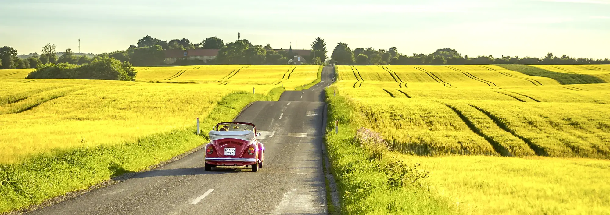 Roter Oldtimer-Cabrio fährt über eine Landstraße durch gelbe Rapsfelder in Dänemark – typische Frühlings- und Sommerlandschaft in Skandinavien.