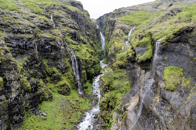 Mehrere schmale Wasserfälle stürzen in einer tief eingeschnittenen Schlucht in Island zwischen steilen, moosbewachsenen Basaltfelsen hinab. Am Grund fließt ein klarer Bach, umgeben von grünem Gestein und rauer, unberührter Landschaft.