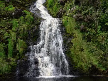 Irlands wilde Schönheit: Ein malerischer Wasserfall in Donegal Ein malerischer Wasserfall in der Grafschaft Donegal, Irland, stürzt über moosbewachsene, dunkle Felsen in ein ruhiges Becken und bietet als beeindruckende Sehenswürdigkeit ein unvergessliches Natur-Erlebnis auf einer Reise durch die wilde, grüne Landschaft.