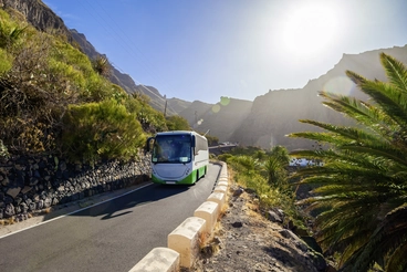 Busfahrt auf Teneriffa – Unterwegs durch das sonnige Teno-Gebirge Ein grüner Linienbus fährt auf einer kurvigen Bergstraße im Teno-Gebirge auf Teneriffa. Umgeben von Palmen, Felsen und dichter Vegetation verläuft die Straße durch die sonnige Vulkanlandschaft der Kanaren. Im Hintergrund leuchten Berge und ein klarer Himmel.