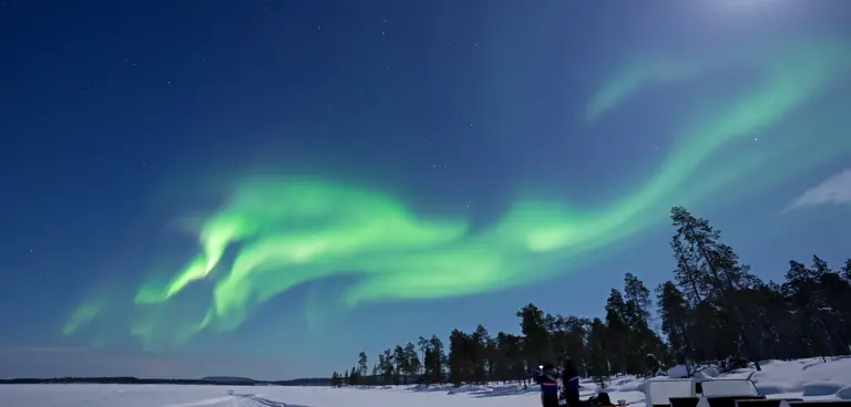 Grune Nordlichter bei einer weiten Schneelandschaft