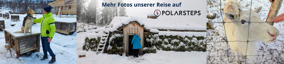 Collage mit Impressionen aus Nordnorwegen: Besuch im Snowhotel Kirkenes mit Huskys, traditionellen Grashäusern und einem neugierigen Rentier im Schnee. Mehr Fotos und Eindrücke der Reise auf Polarsteps.