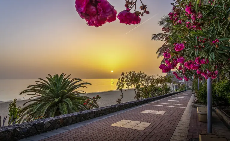 Sonnenuntergang auf Fuerteventura - Promenade am Meer mit Palmen und Blüten Das Bild zeigt eine ruhige Promenade direkt am Meer auf Fuerteventura auf den Kanarischen Inseln in Spanien gesäumt von Palmen und leuchtend pinken Blüten, während die Sonne langsam über dem Atlantik untergeht und den Himmel in warmes Gold erzeugt und die Insel als ideales Reiseziel für Erholung, Spaziergänge, Naturgenuss und romantische Sonnenuntergänge am Meer widerspiegelt.