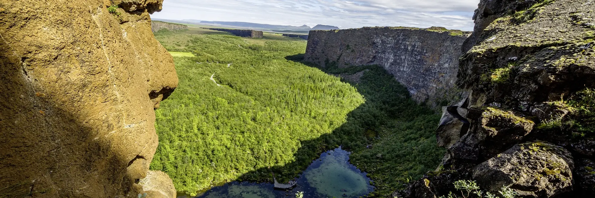 Asbyrgi Schlucht in Island Panoramablick auf die hufeisenförmige Ásbyrgi-Schlucht im Norden Islands im Vatnajökull-Nationalpark: steile, graue Basaltwände rahmen einen dichten, grünen Birkenwald; ein heller Sommerhimmel liegt über der weitläufigen Ebene – ein ruhiger, naturbetonter Aussichtspunkt nahe Húsavík.