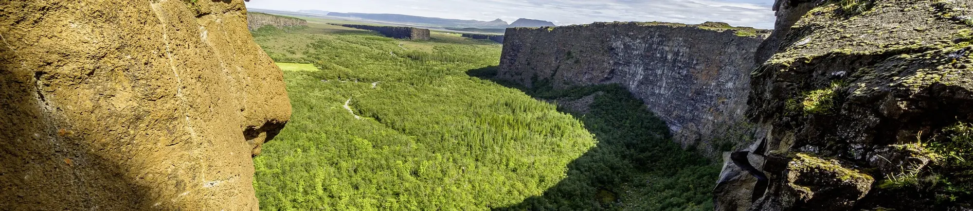 Panoramablick auf die hufeisenförmige Ásbyrgi-Schlucht im Norden Islands im Vatnajökull-Nationalpark: steile, graue Basaltwände rahmen einen dichten, grünen Birkenwald; ein heller Sommerhimmel liegt über der weitläufigen Ebene – ein ruhiger, naturbetonter Aussichtspunkt nahe Húsavík.