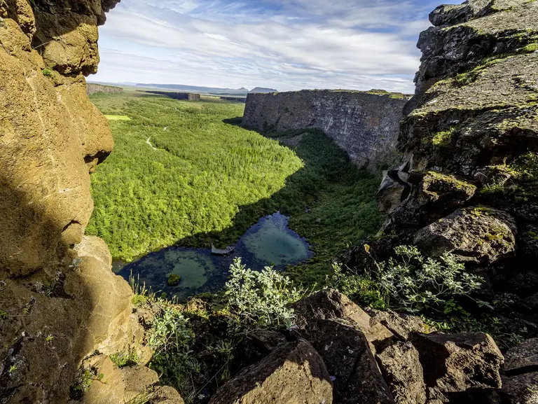 Blick in die beeindruckende Ásbyrgi-Schlucht im Nordosten Islands, umgeben von steilen Felswänden und dichtem, grünem Wald. Zwischen den Basaltklippen liegt ein kleiner See, der das friedliche Herz dieser hufeisenförmigen Schlucht bildet. Laut Legende soll hier der Hufabdruck von Odins Pferd Sleipnir entstanden sein – ein magischer Ort im Vatnajökull-Nationalpark.