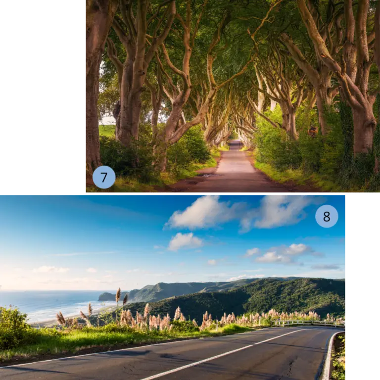 in Nordirland - Dark Hedges und Atlantikküste Die Collage zeigt die mystische Allee der Dark Hedges, bekannt aus Game of Thrones, sowie die malerische Causeway Coastal Route entlang der Nordirlandküste. Beide Motive stehen für die Schönheit der Landschaft und Roadtrips durch Nordirland.