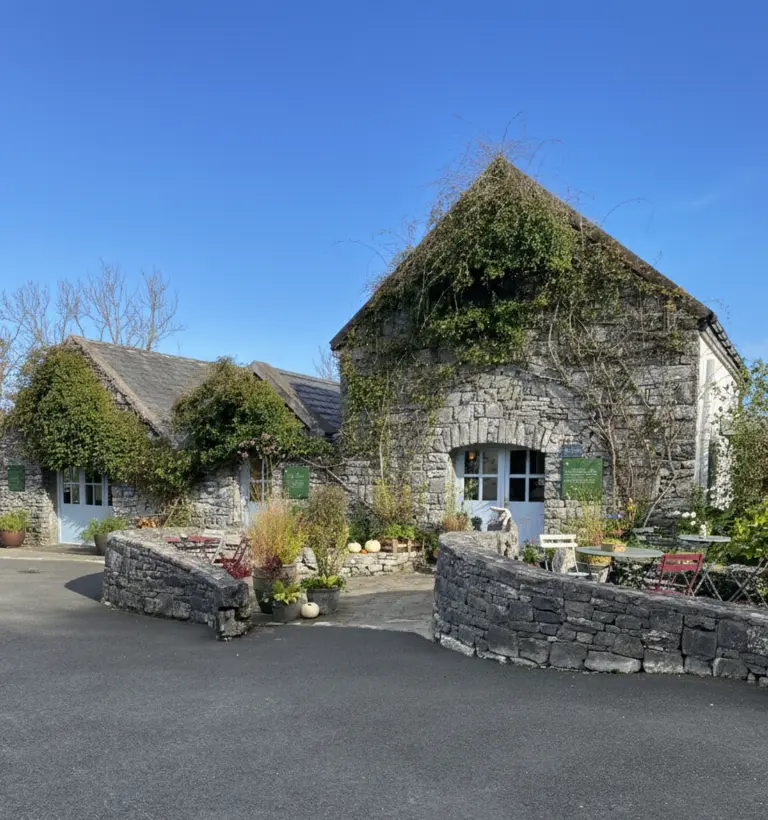 Außenansicht des Cafés der Burren Perfumery - graue Steinmauern, die mit grünen Ranken bewachsen sind