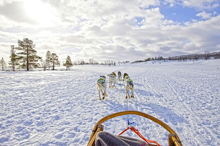Huskysafari Finnland Wolters Rundreisen Winterreisen