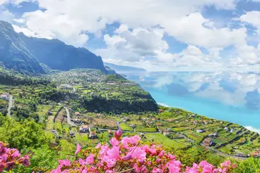 Panoramablick auf die grüne Küstenlandschaft von Madeira mit terrassenförmig angelegten Feldern, kleinen Häusern und dem tiefblauen Atlantik im Hintergrund. Im Vordergrund blühen pinke Blumen, während sich Berge und Meer unter wolkenreichem Himmel erstrecken.