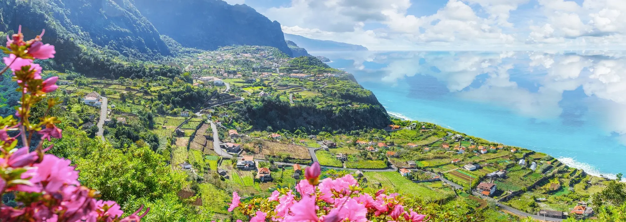 Das Bild zeigt die beeindruckende Küste von Madeira, Portugal, mit grünen Terrassenfeldern, verstreuten Häusern und dem tiefblauen Atlantik. Im Vordergrund blühen pinke Blumen, während im Hintergrund steile Berge die Szene prägen. Die Landschaft vermittelt die Vielfalt der Natur, Kultur und Urlaubsmöglichkeiten auf Madeira.
