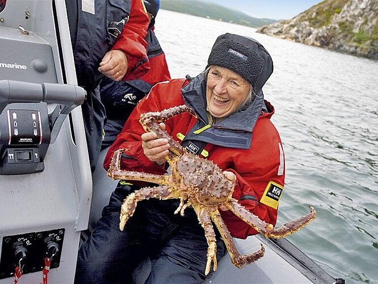 Königskrabbensafari Norwegen Koenigskrabbensafari Norwegen
