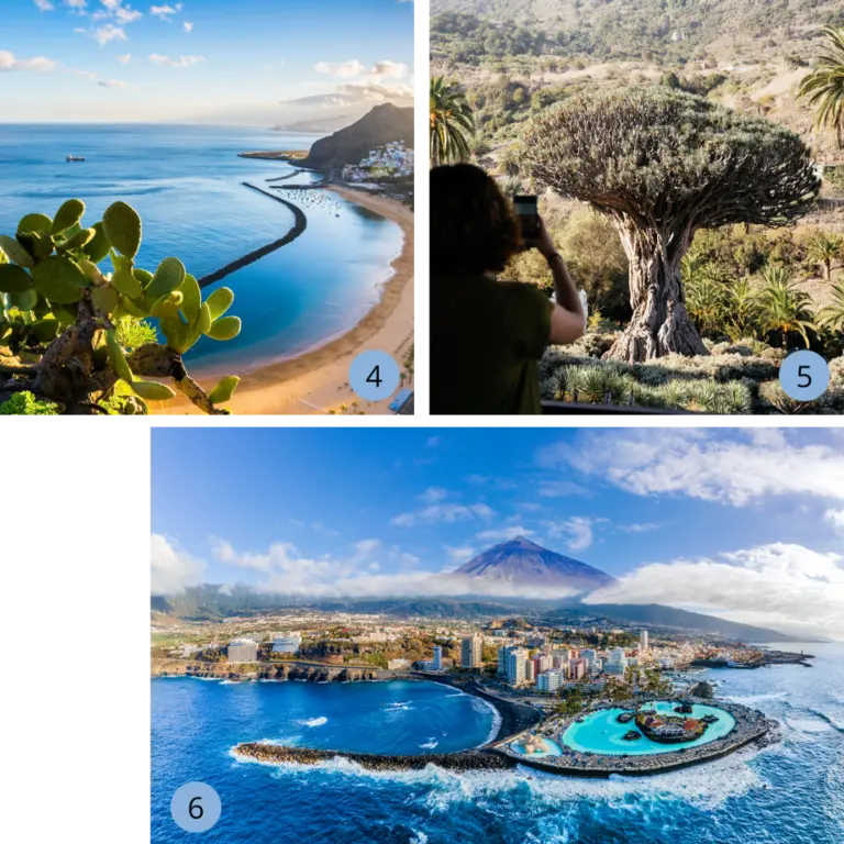 Eine dreiteilige Collage zeigt die Wahrzeichen Teneriffas: Den goldenen Sandstrand Playa de Las Teresitas bei Santa Cruz, den berühmten jahrtausendalten Drachenbaum (Drago Milenario) in Icod de los Vinos und eine Panorama-Luftaufnahme von Puerto de la Cruz mit der Poolanlage Lago Martiánez vor dem schneebedeckten Gipfel des Teide – perfekt für die Planung eines abwechslungsreichen Kanaren-Urlaubs.
