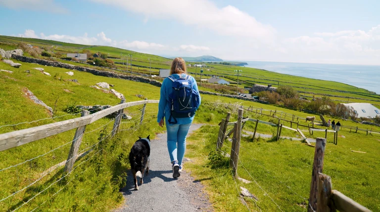 Eine Frau wandert mit einem Hund auf einem schmalen Küstenpfad in Irland. Der Weg führt durch grüne Weiden mit Zäunen und traditionellen Steinmauern, während im Hintergrund die Küste und das Meer in der Sonne glitzern. Die Szene vermittelt Ruhe, Naturverbundenheit und Irlands typische Landschaft.