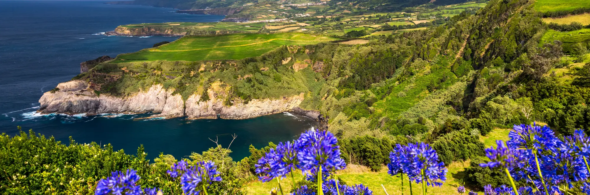 Ein Panoramablick auf die üppig grüne Steilküste der Azoren-Insel São Miguel, wo leuchtend blaue Blumen im Vordergrund blühen und der tiefblaue Atlantik die vulkanische Landschaft umspült, was zu einem unvergesslichen Wander-Urlaub in der Natur einlädt.