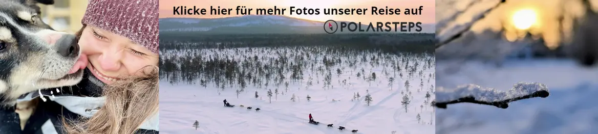 Polarsteps Winterreise Finnisch Lappland Wolters Rundreise